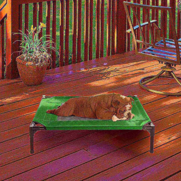 Pet Adobe Elevated Portable Pet Bed Cot-Style 30 in x24 in x7 in for Dogs and Small Pets, Indoor/Outdoor, Green - 588609JJG