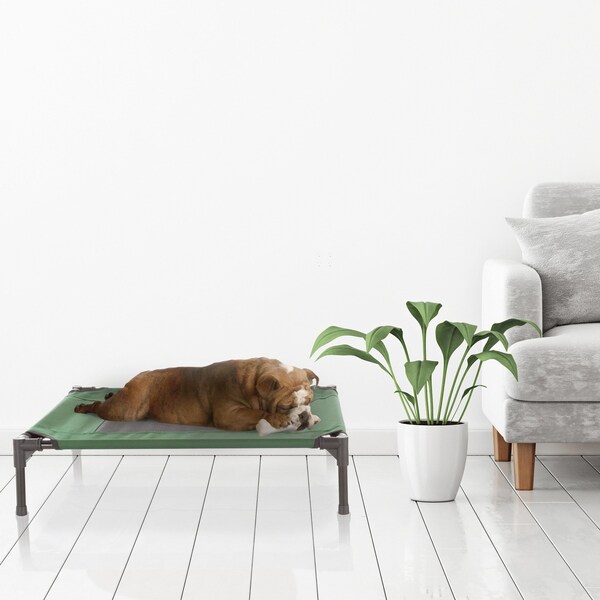 Pet Adobe Elevated Portable Pet Bed Cot-Style 30 in x24 in x7 in for Dogs and Small Pets, Indoor/Outdoor, Green - 588609JJG