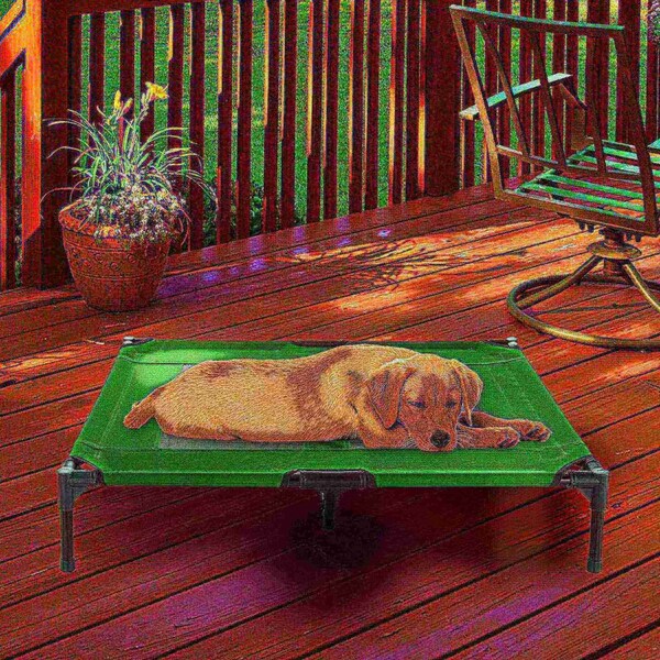 Pet Adobe Elevated Portable Pet Bed Cot-Style 36 inx29.75 inx7 in for Dogs and Small Pets, Indoor/Outdoor - 807180YSG