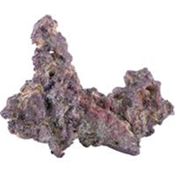 Carib Sea Caribsea Life Rock Belize Branch - 13180