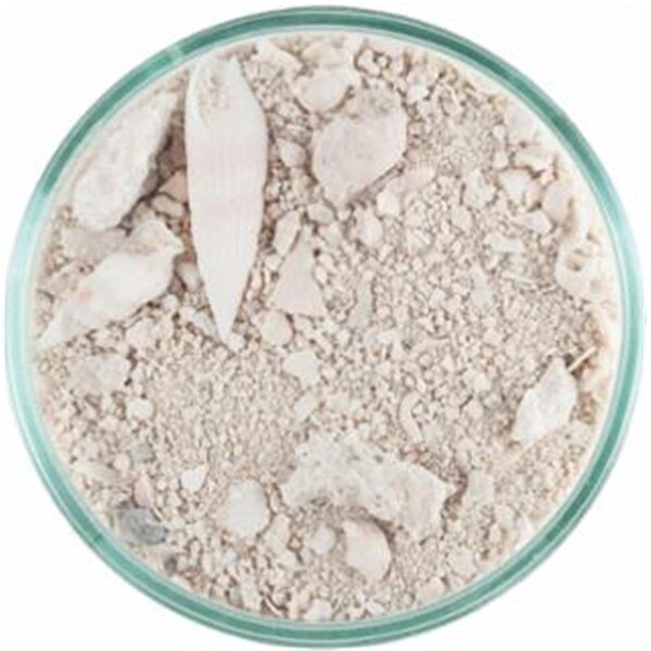 Carib Sea Caribsea  40 lbs ocean Direct Natural Live Sand - 84073