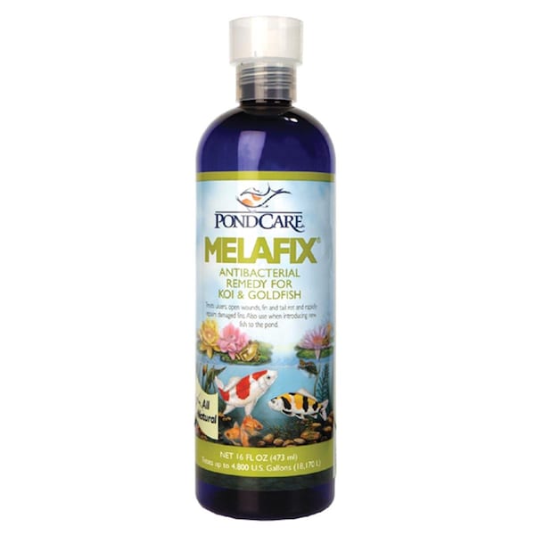 Wetsel Mela Fix Antivacterial Remedy for Koi and GoldFish - 16 oz. - 508331