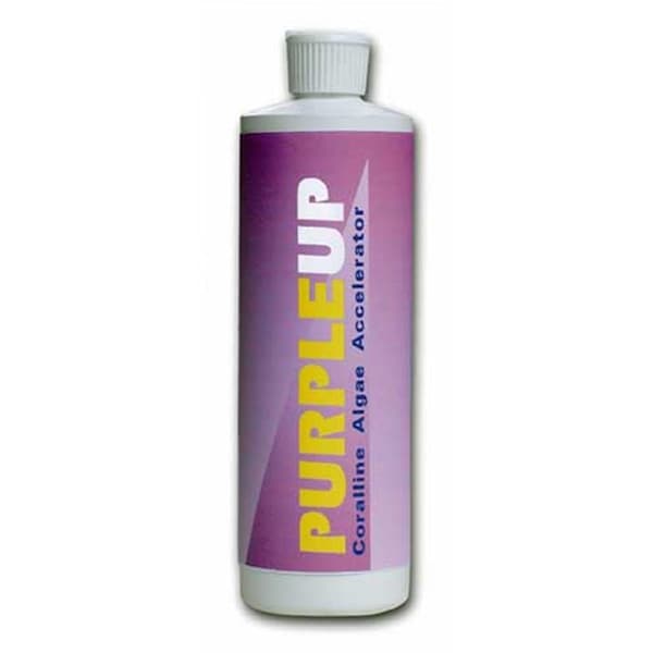 Carib Sea Purple-up Coraline Algae Accel 16 Ounces - 00530 - 13008