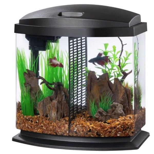 Curien Aqueon Products  2.5 gal Aqueon Betta Bow Smartclean Kit, Black - 100543587