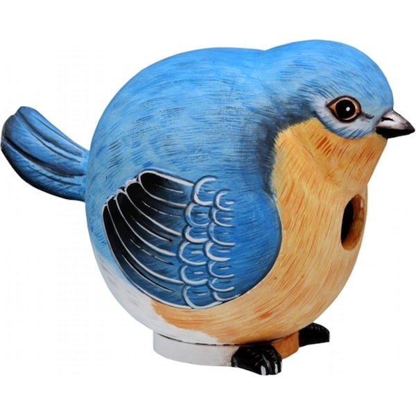 Songbird Essentials Bluebird Gord-O Birdhouse - SE3880058