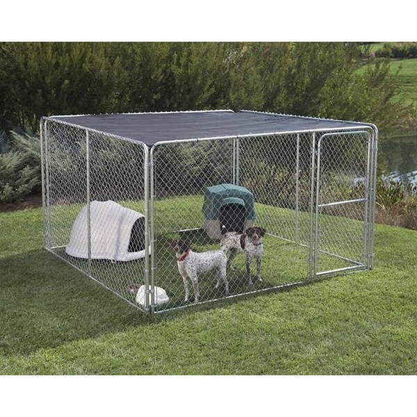 Stephens Pipe & Steel Silver Dog Kennel, 10 ft OAL, 10 ft OAW, 6 ft OAH, Steel, Galvanized - DKS11010