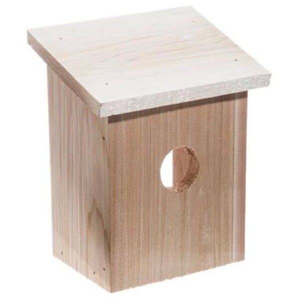 Songbird Essentials Songbird Essentials SESC78162WF Nest View Bird House with Window Film - SESC78162WF
