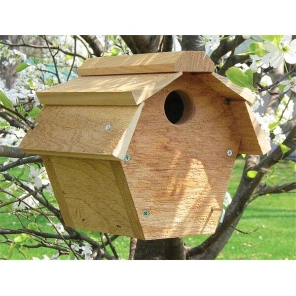 Songbird Essentials Songbird Essentials SE546 Carolina Wren All Purpose House - SE546