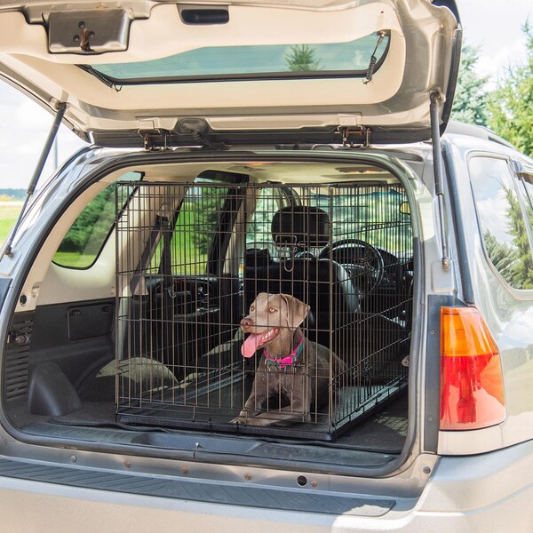 Midwest Metals Pet Essentials Medium Steel Dog Crate Black 26 in. H X 24 in. W X 36 in. D - 836
