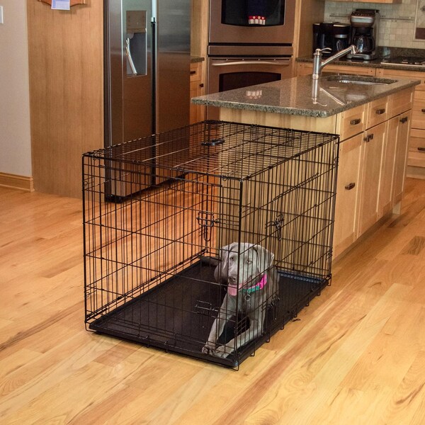 Midwest Metals Pet Essentials Medium Steel Dog Crate Black 26 in. H X 24 in. W X 36 in. D - 836