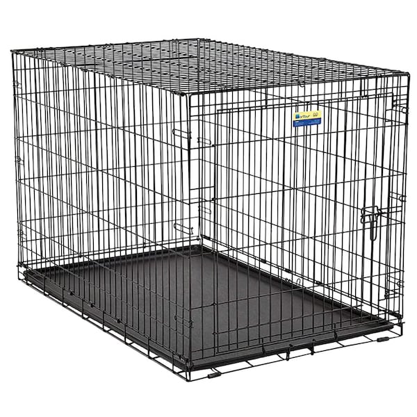 Midwest Metals Pet Essentials Medium Steel Dog Crate Black 26 in. H X 24 in. W X 36 in. D - 836