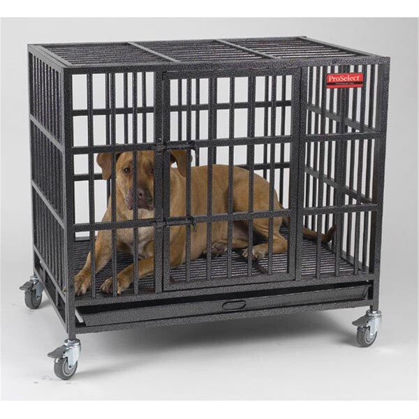 Pamperedpets ProSelect Empire Cage Lrg S - PA2475424