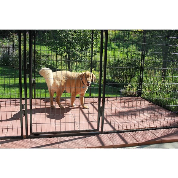 K9 Kennel Store 6ft X 6ft Basic Standard Dog Kennel Powder Coated - BWW6X6FK