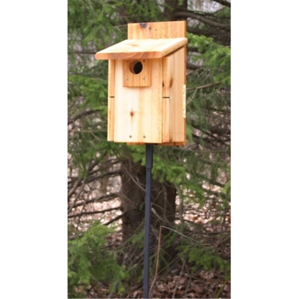 Stovall Products Stovall Western Mountain Bluebird House - SP2HUW