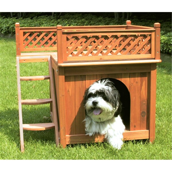 Merry Products Dog House - Room with a View - MPS002