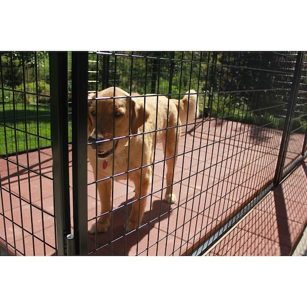 K9 Kennel Store 8ft X 16ft Basic Standard Dog Kennel Powder Coated - BWW8X16FK