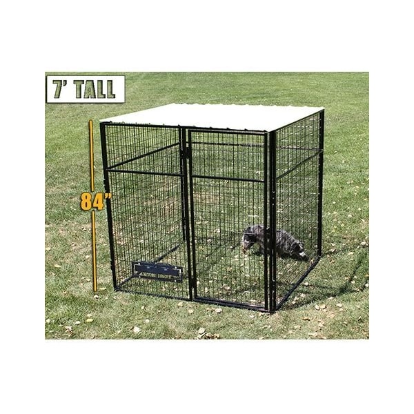 K9 Kennel Store 8ft X 8ft Complete 7ft Tall Dog Kennel Powder Coated - C7T8X8FK