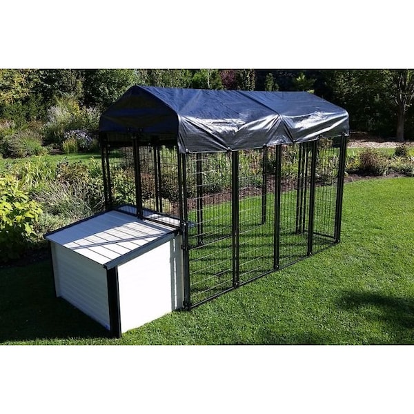 K9 Kennel Store 4ft X 8ft Value Kennel and XL Cabin Dog House Combo Basic - BVL4X8CABCM