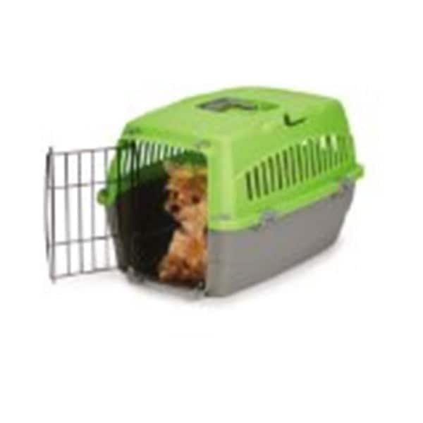 Casual Canine Casual Canine US5437 14 43 Carry Me Crate S Grn - US5437 14 43