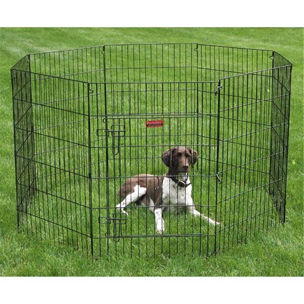 Pamperedpets ProSelect Black Everlasting X-Pen with Door 48 In S - PA3111780