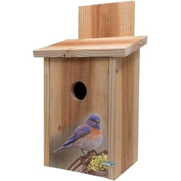 S&K S&K BBHC-7 Decorative Blue Bird on Stump Design on Cedar Blue Bird House - BBHC-7