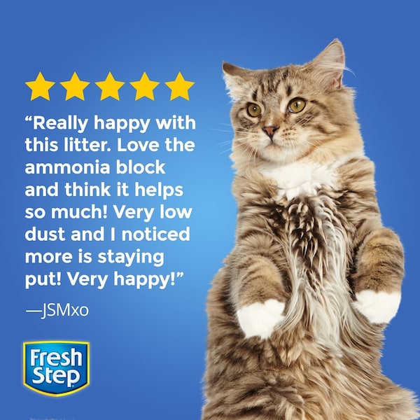 Clorox Fresh Step Fresh and Clean Scent Cat Litter 25 lb - 30466
