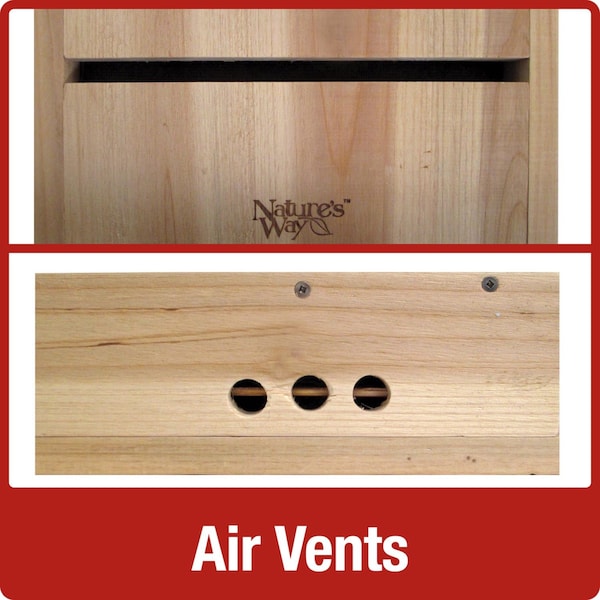 Natures Way Nature's Way Cedar Series 20.5 in. H X 5 in. W X 12 in. L Cedar Bat House - CWH6