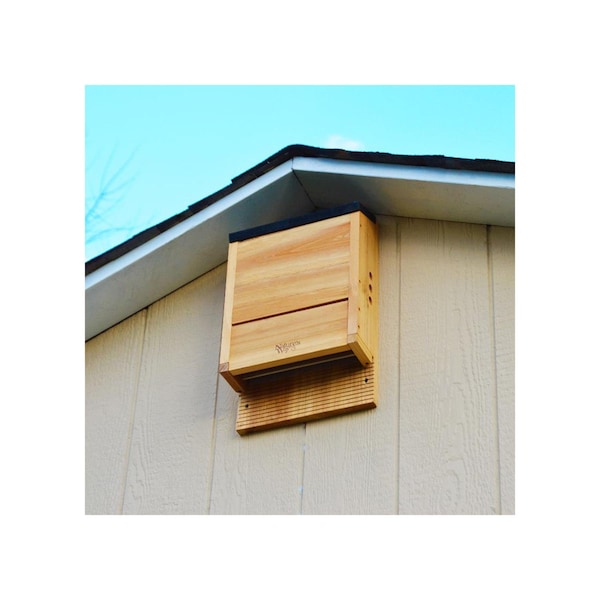 Natures Way Nature's Way Cedar Series 20.5 in. H X 5 in. W X 12 in. L Cedar Bat House - CWH6
