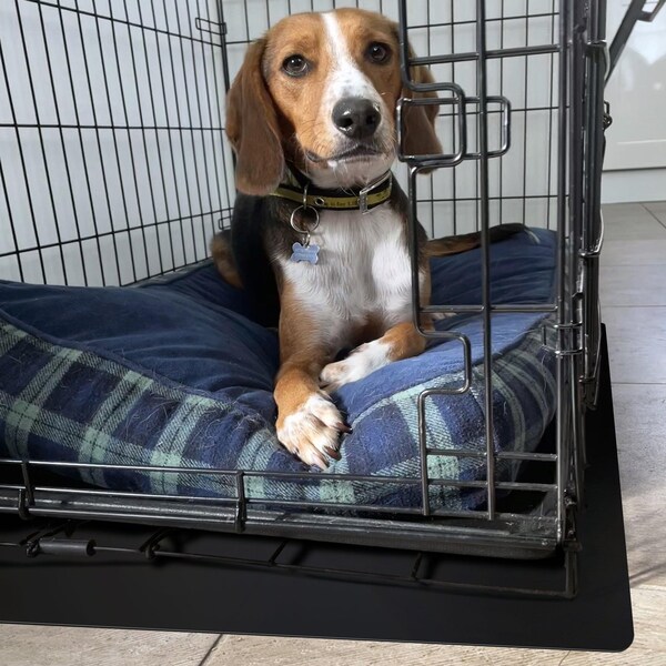 Floortex Floortex P-Tex Polypropylene Pet Crate Floor Protection Mat - XL - 26" x 38" - NCSMFLLS0002