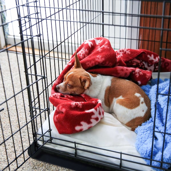 Floortex Floortex P-Tex Polypropylene Pet Crate Floor Protection Mat - XL - 26" x 38" - NCSMFLLS0002