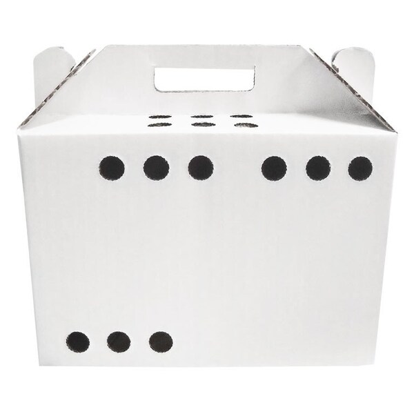 Oasis Pocket Pet Carriers for Small Animals, Disposable, Cardboard, 12 Per Case - PET-PC