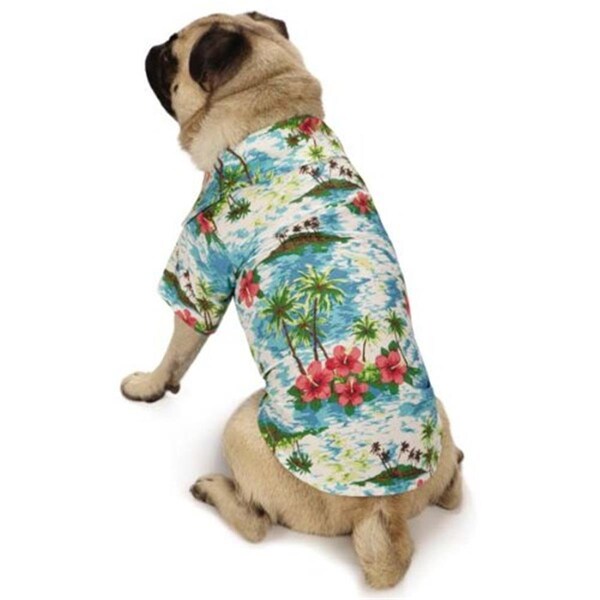 Casual Canine Casual Canine Hawaiian Breeze Camp Shirt Large Blue  - ZM8258 20 19 - ZM8258 20 19