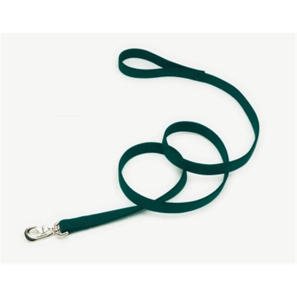 Petpath Coastal Pet Products 2906 Double 1 in. Lead - Hunter - PE741101