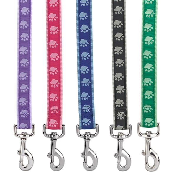 Pamperedpets Two Tone Pawprint Lead 6 Ft x 1 In Green - PA670475