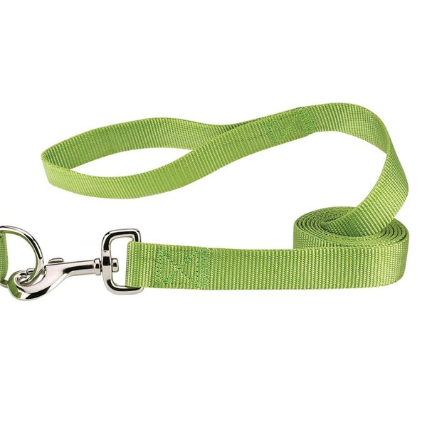 Casual Canine 4 ft. x 0.62 in. Nylon Dog Leash Lead, Light Green - ZM2392 44 70