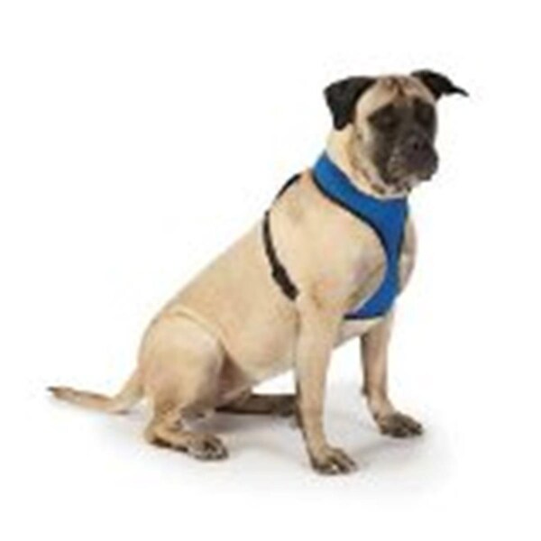 Party Animal Mesh Harness Xlg Purple - PA2632586