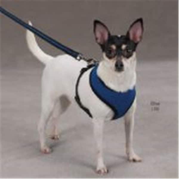 Casual Canine Mesh Harness Xlg Orange - ZA888 24 69