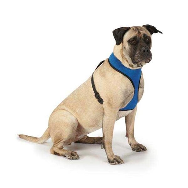 Casual Canine Casual Canine ZA888 24 75 Casual Canine Mesh Harness Xlg Pink - ZA888 24 75