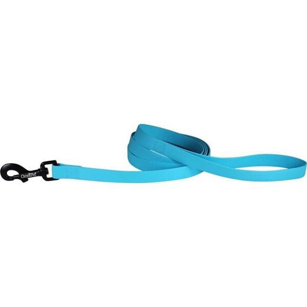 Tandy Leather Factory Leather Brothers  0.75 in. x 6 ft. Carnival Biothane Dog Lead, Light Blue - 19148-LBL