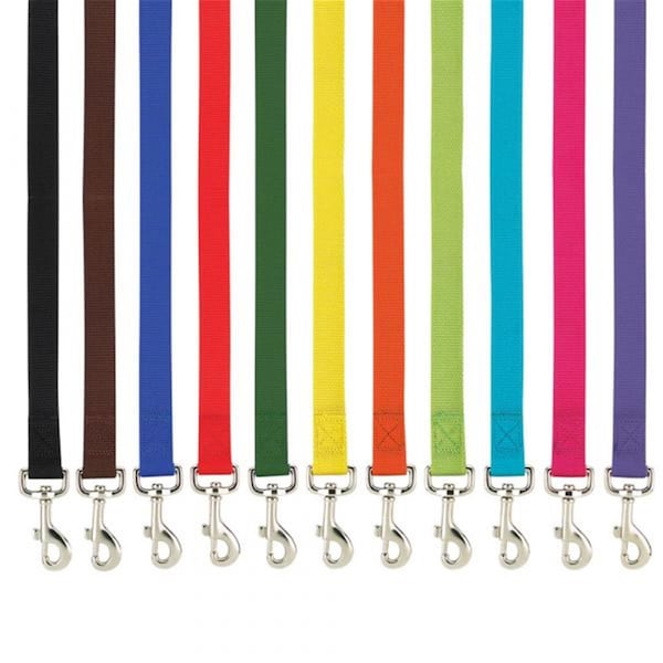 Casual Canine 6 ft. x 1 in. Basic Nylon Dog Leash LeadDark Blue - ZM2392 66 57