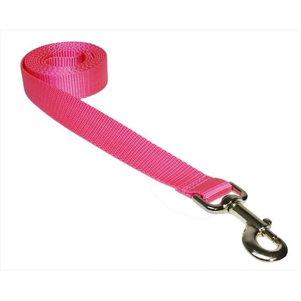 Sassy Dog Wear Sassy Dog Wear SOLID PINK LG-L 6 ft. Nylon Webbing Dog Leash; Pink - Large - SOLID PINK LG-L