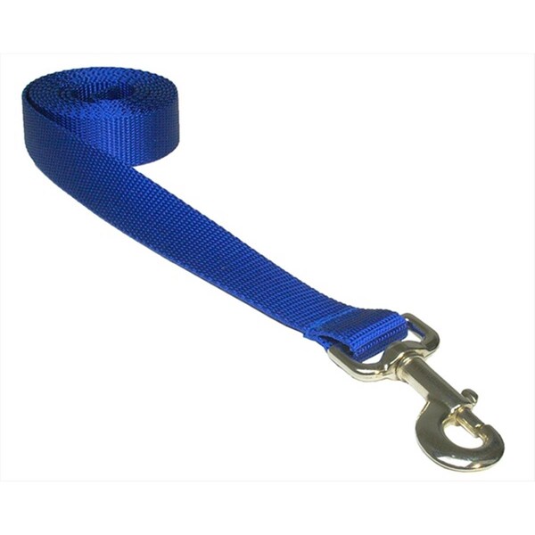 Fly Free Zone 6 ft. Nylon Webbing Dog Leash, Blue - Large - FL17704