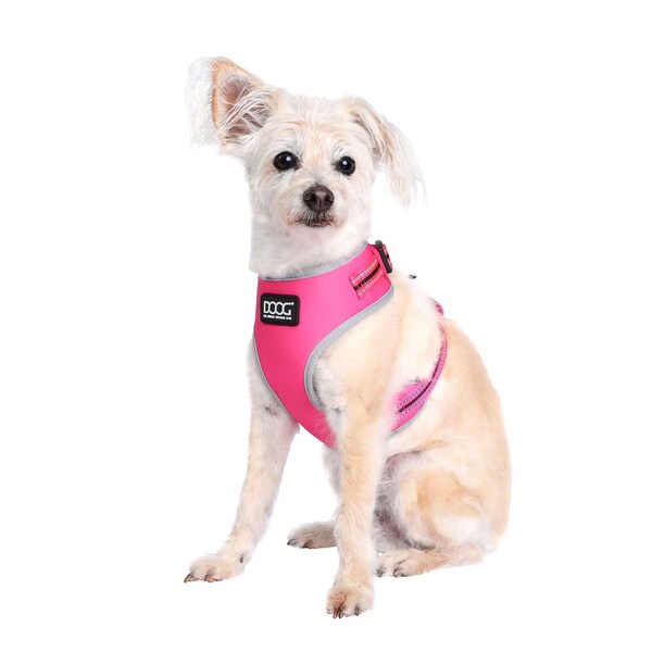 Doog Dog Harness, Neon, XL - HARADYSOFT-XL