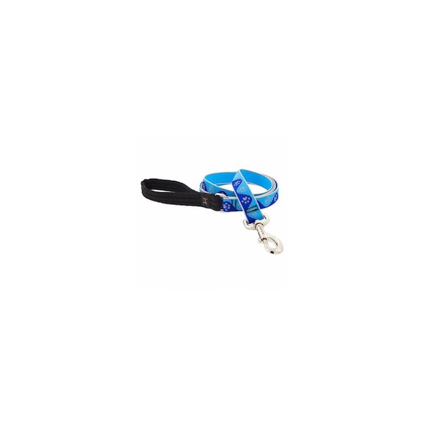Lupine 1 In. x 6 Ft. Blue Paws Dog Leash - 48459