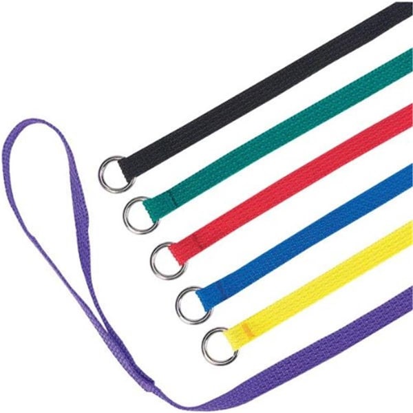 Pamperedpets 4 Ft Kennel Lead 6-Pkg Asst Colors - PA2632569
