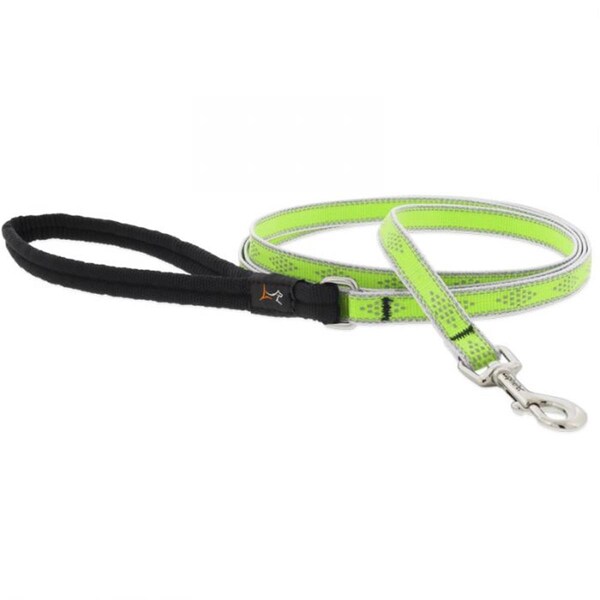 Lupine Pet Lupine  0.5 in. x 6 ft. Diamond Dog Leash, Green - 107742