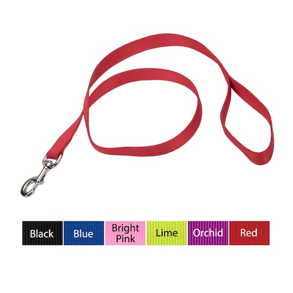 Coastal Pet Coastal Single-Ply Nylon Dog Leash 5/8 in LIME - 3809-LI