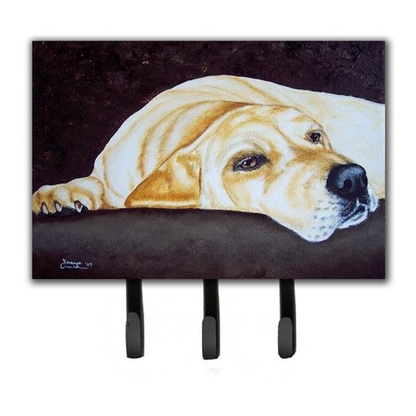 Carolines Treasures Carolines Treasures AMB1072TH68 Naptime Yellow Labrador Leash or Key Holder - AMB1072TH68