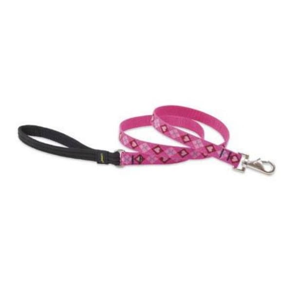 Lupine Pet Lupine 14209 .75 in. Puppy Love 6 ft. Padded Handle Dog Leash - 14209