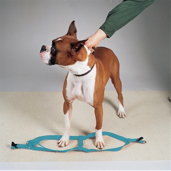 Casual Canine 15-25 in. Nylon 2 Step Dog HarnessBlue - ZA807 15 62